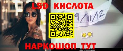 сатива Аргун