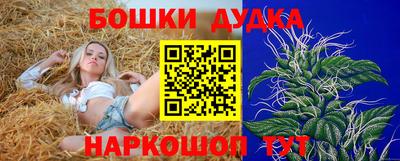 сатива Аргун