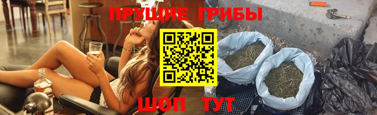 Галлюциногенные грибы Cubensis Воткинск